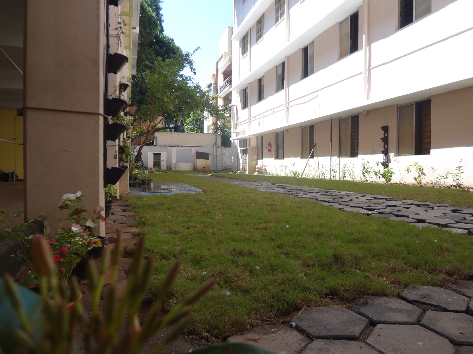 Green infrastructure with bioswale and rain garden